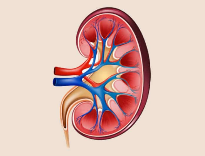 Nephrologist in Theni