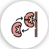Kidney doctor in Natham